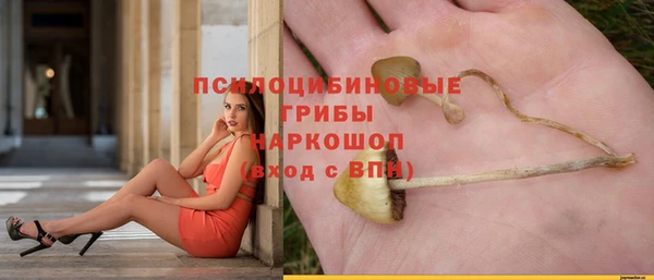СК Михайловка